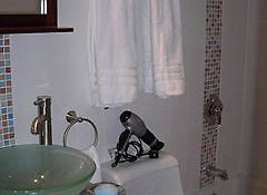 Indian Creek Suites  3*